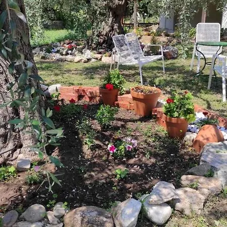 Elena's Apartament Skala Rachoni (Thasos)