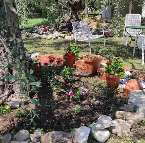 Elena's Διαμέρισμα Σκάλα Ραχωνίου